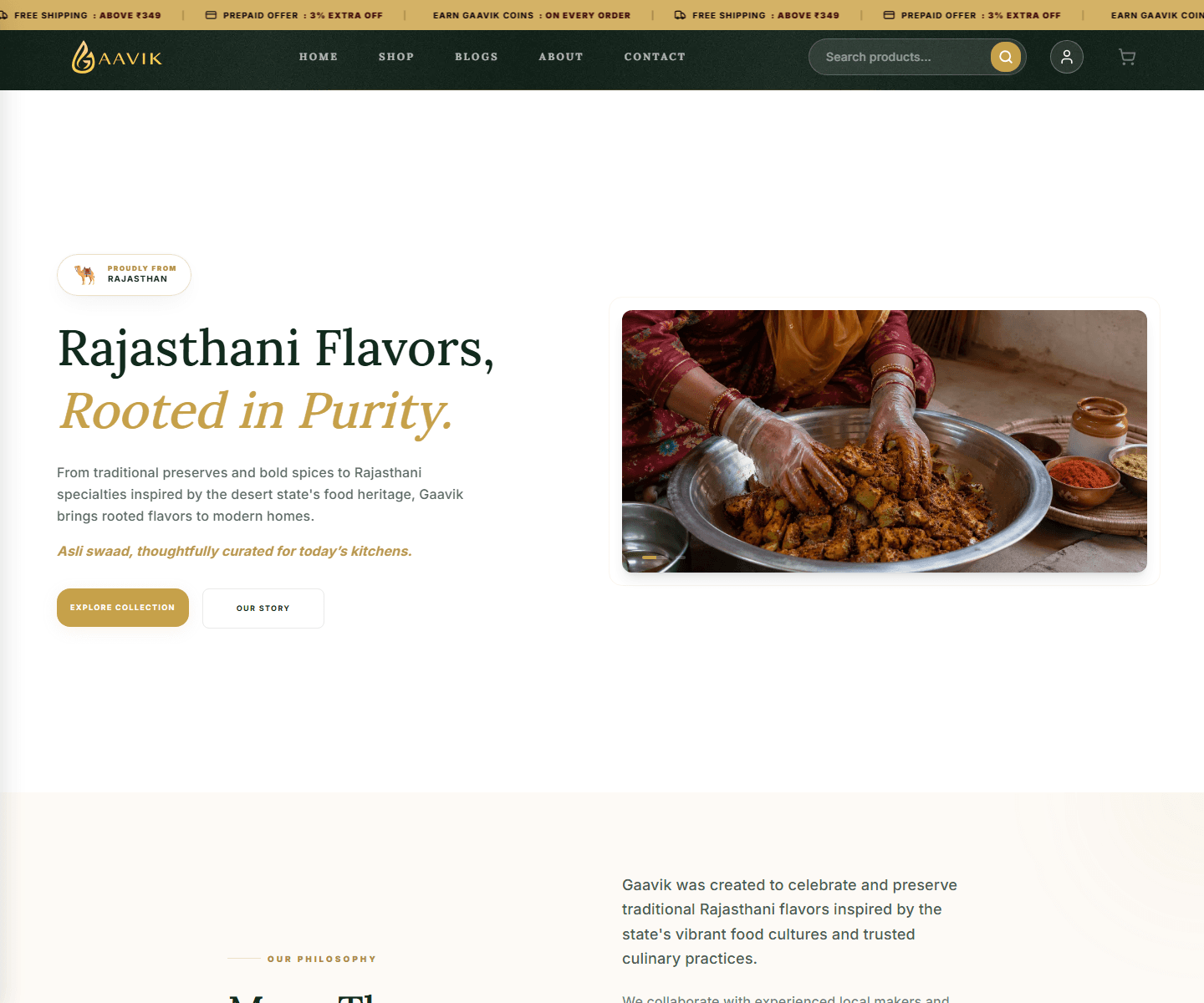 Gaavik website preview